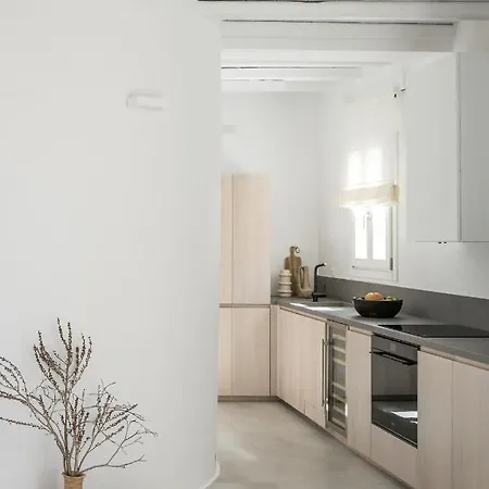 Mykonos Esti Luxury Villa *